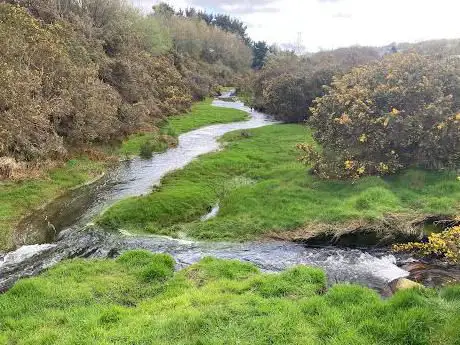 Photo de Bissoe Valley Nature Reserve
