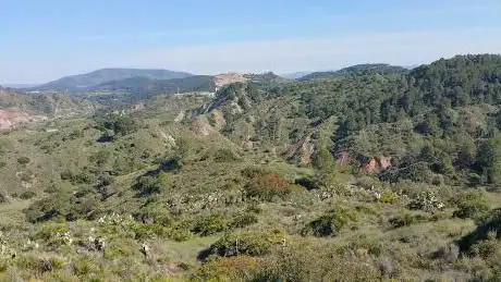 Photo de Font Del Pinar- Sellent