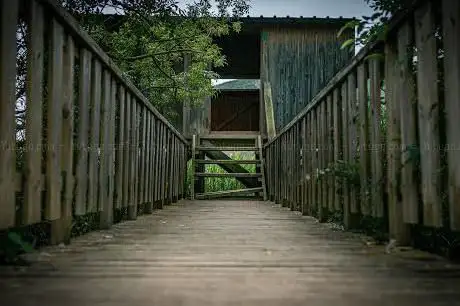 Photo de Mirador d'aus