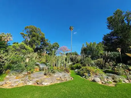 Photo de Jardin botanique de Naples