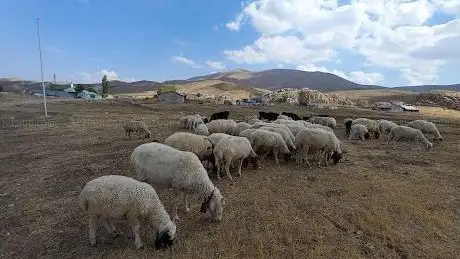 Photo de Beydağları Yaylası
