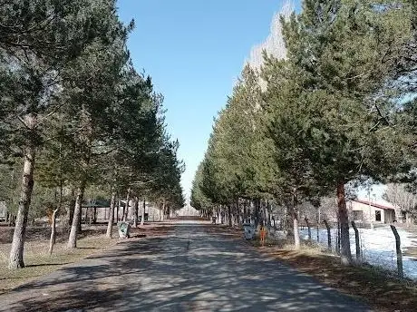 Photo de TRT Parkı