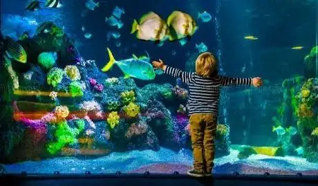 SEA LIFE Bray Aquarium