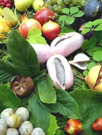 Photo de le Jardin de Pomone