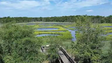 Photo de Cattus Island County Park
