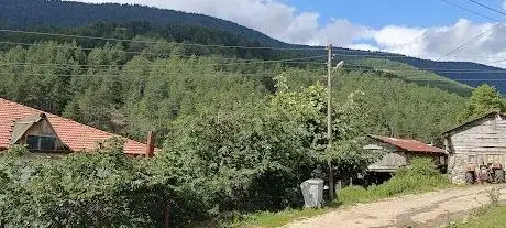 Photo de Sofular Koyu Muhtarligi