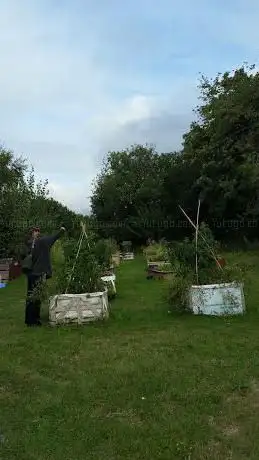 Photo de Addiscombe Railway Park