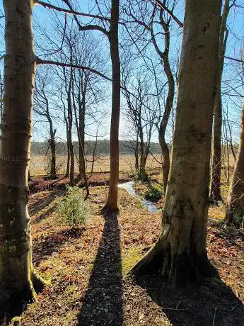 Photo de Craigarter Plantation