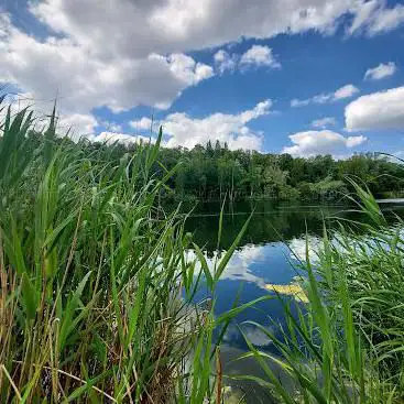 Photo de Walenhoek