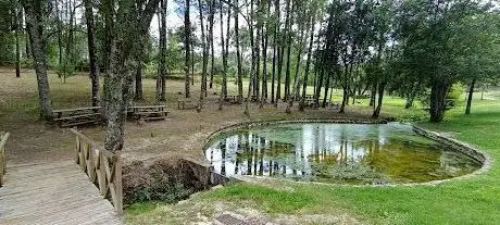 Photo de Ti Milha Picnic Park