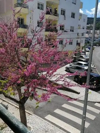 Photo de Parque Da Urbanização Serrado E Fontainhas