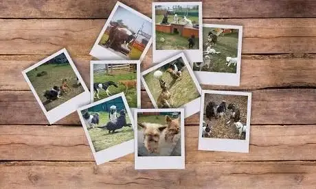 Photo de Hundespielplatz Porz