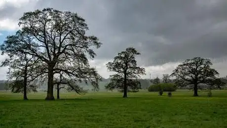 Photo de National Trust - The Buscot and Coleshill Estates
