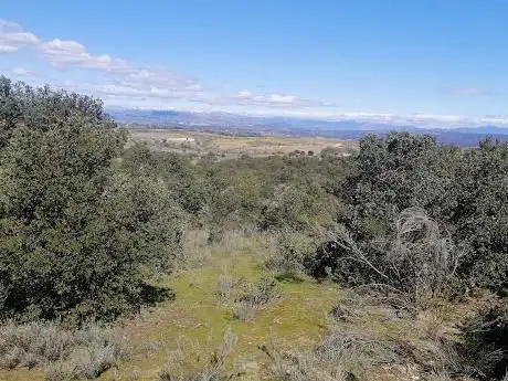 Photo de Dehesa de Majadahonda