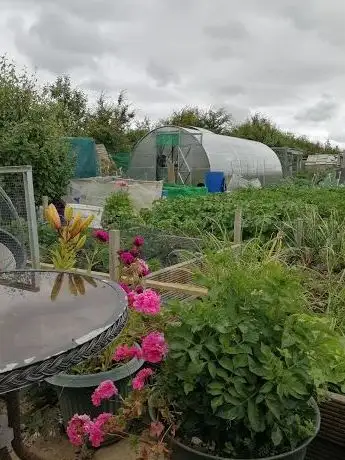 Turvey Allotments