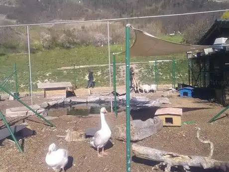 Photo de Mini Zoo