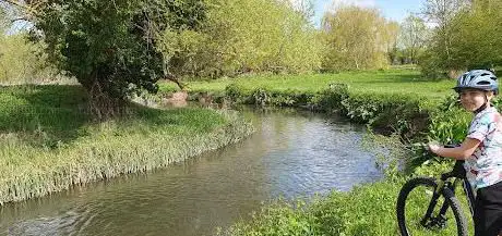 Photo de Millennium Meadow