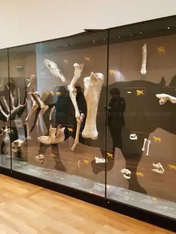 Photo de National Museum of Prehistory