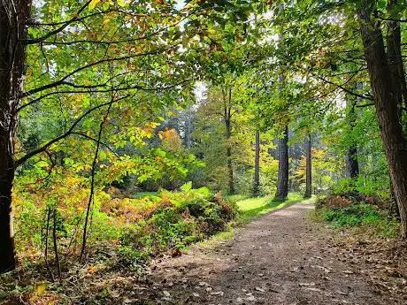 Photo de Bois de Heverlee