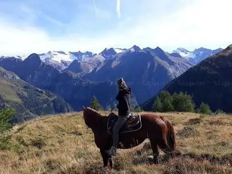 Photo de Reiten-Tirol Ortnerhof