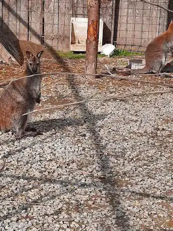 Photo de Mini Zoo
