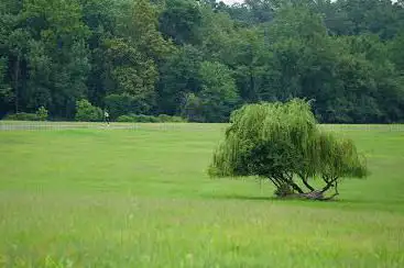 Photo de Kenilworth Park