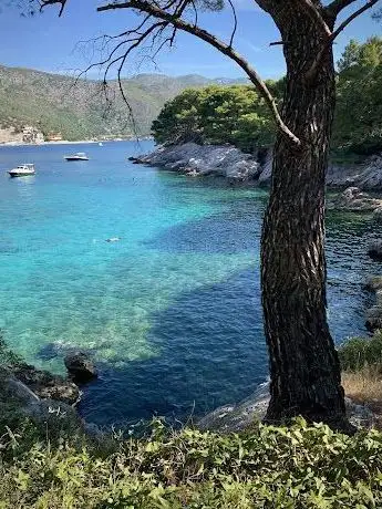 Photo de Zaton Rope Swing