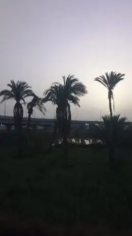 Photo de طريق أسيوط القاهرة الزراعي