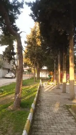 Photo de Child park
