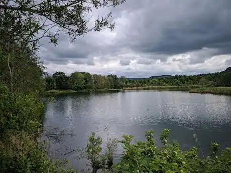 Photo de Aussichtsturm am Ökosee