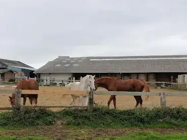 Photo de Centre équestre des Lauriers