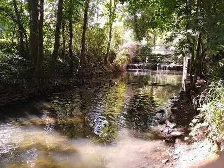Photo of Champs De Foire