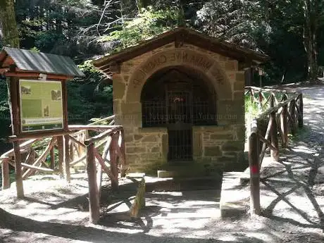 Photo de Castagneto a Camaldoli
