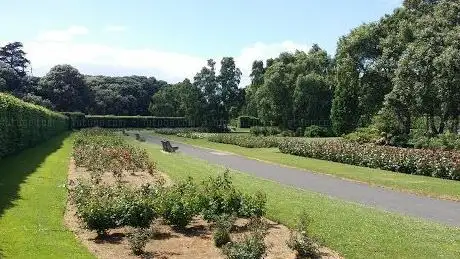 St. Anne's Walled Garden Allotment
