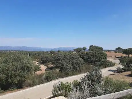 Photo de Mirador de El Tamujar