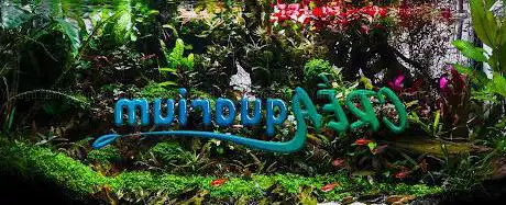 Photo of CréAquarium