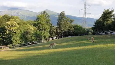 Photo de Oasi di Orie Terme