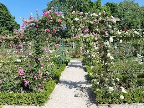 Photo de La Roseraie du Val-de-Marne