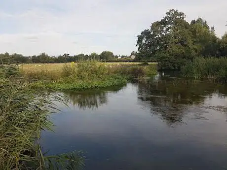 Photo de Middle Street Meadow