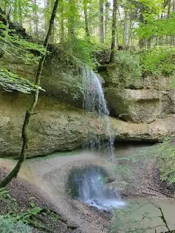 Photo of Walderlebnispfad Möggers