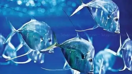 Photo of Aquarium Berlin