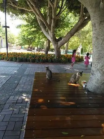 Photo de Asım Okur Meydanı