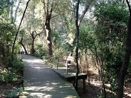 Photo de Jardà bosc i font de Can Gatxet