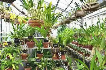 Photo de Serres du Jardin du Luxembourg