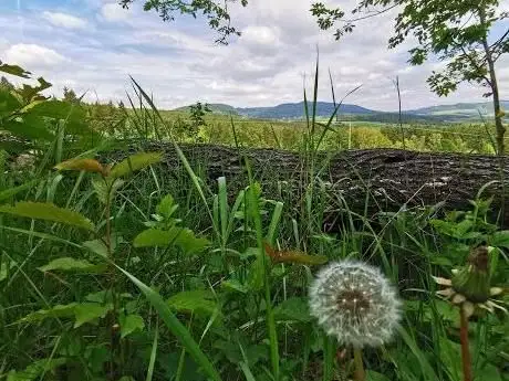 Photo de RhönTravel | Rhöner Heimat | Rhön-Gutschein | Rhönguide | Rhön-Shirts