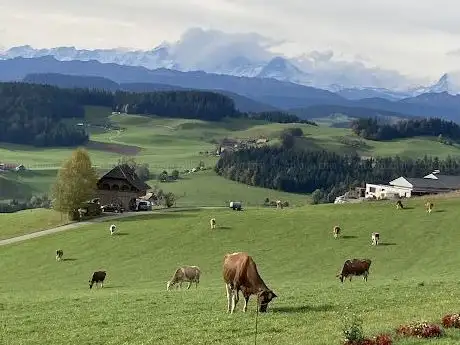 Photo of Dhammakaya Switzerland