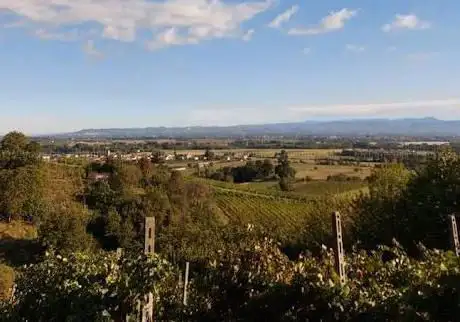 Photo de Parco della Collina di San Colombano
