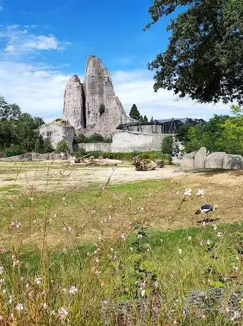 Photo of Grand Rocher du Parc Zoologique de Paris