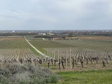 Photo de Vidikovac Vukovo