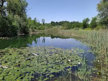 Photo de Barraudseeli